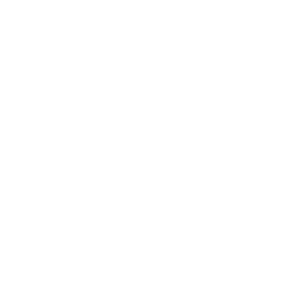 AC_Icon_CGM